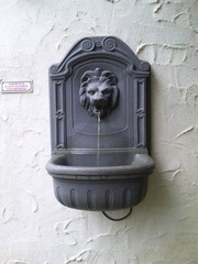口水池