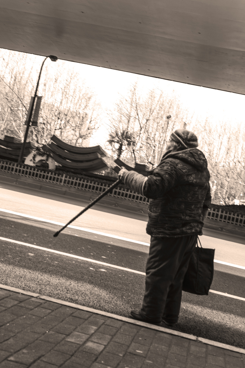 【独·拐】早上出门拍照,看见一拄着拐杖的老奶奶在赶公交,没来得及