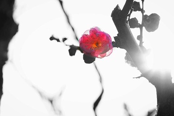 001
