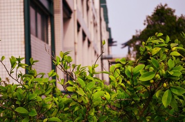 DSC_0150-1