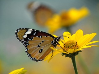 IMG_0574_副本.jpg