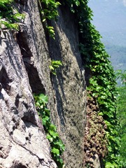 DSCF2118-1.jpg