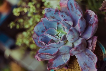 20140316-DSC_0258
