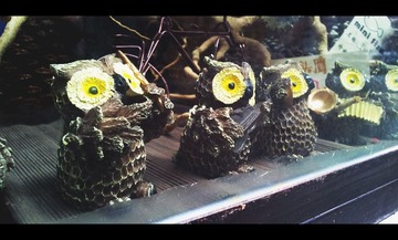 20121013_155530.1.jpg
