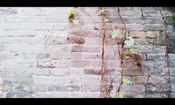 20121013_162126.1.jpg