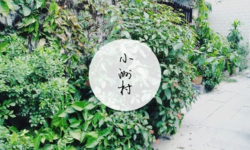 小洲村小圆.jpg