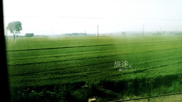 IMG_6038.JPG