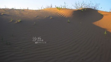 IMG_6196.JPG