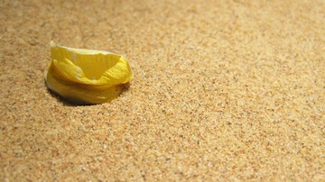 IMG_6276.JPG