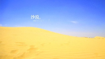 IMG_6287副本.jpg