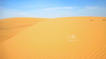 IMG_6288.JPG