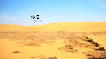 IMG_6289副本.jpg