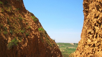 IMG_6397.jpg
