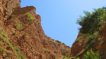 IMG_6412.jpg