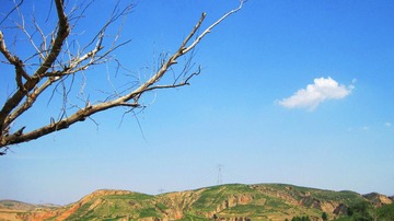 IMG_6473副本.jpg