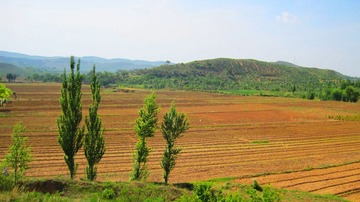 IMG_6507副本.jpg