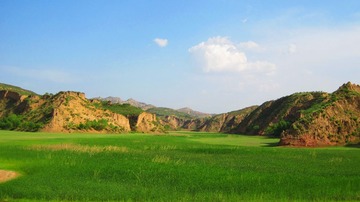 IMG_6508.JPG