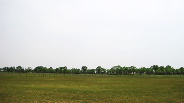 IMG_6531.JPG