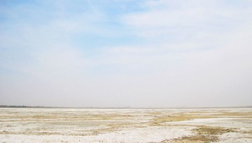 IMG_6544.JPG