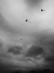 DSC09084_