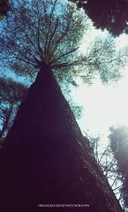 20130528_092811