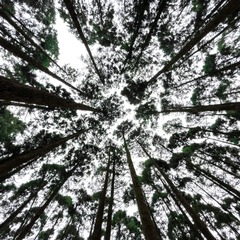51C06925-D6E8-475F-AE87-6F8AB801C065/L0/001