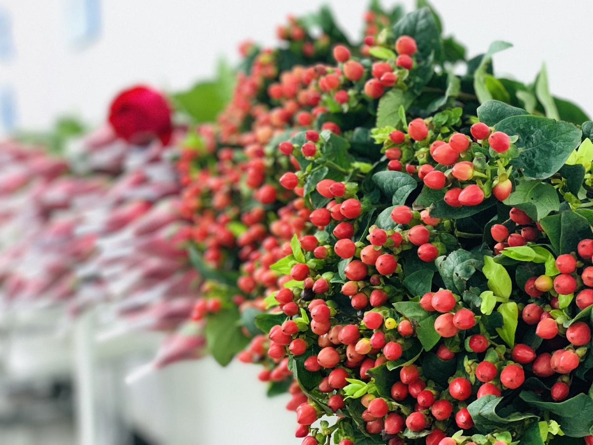 来一场花之约遇见花遇见你遇见美好