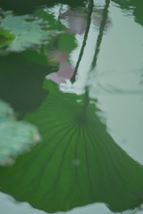 87CC918C-1579-40B7-BC4F-ED281274FD54/L0/001