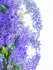 1D27FE2B-3A9D-4F5B-9ED0-5329E811EF6C/L0/001