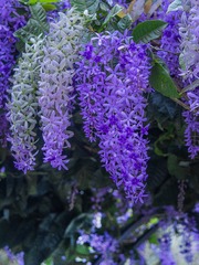 76830C96-8DC8-432C-AF7A-1FD3FD41B003/L0/001
