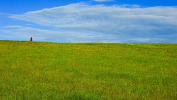 DSCN1043.jpg