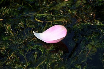 IMG_5090_副本.jpg