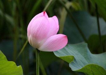 IMG_4512_副本.jpg