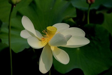 IMG_5246_副本_副本.jpg