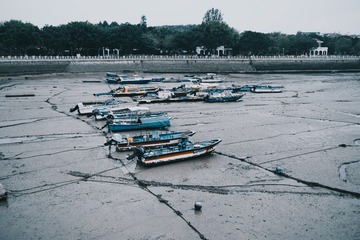 D12F3474-1E91-4B96-96D2-5E6A0DEA385D/L0/001