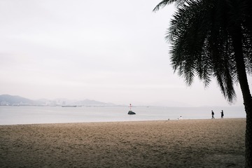 CE1718A7-4EA1-4F1F-B26A-DA8B00300103/L0/001