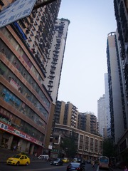 _8105800.jpg