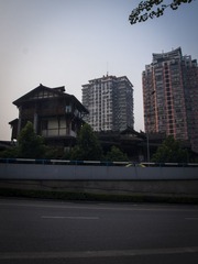_8105801.jpg