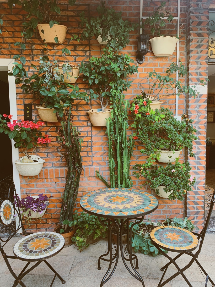 我和我的猫都很想你灬