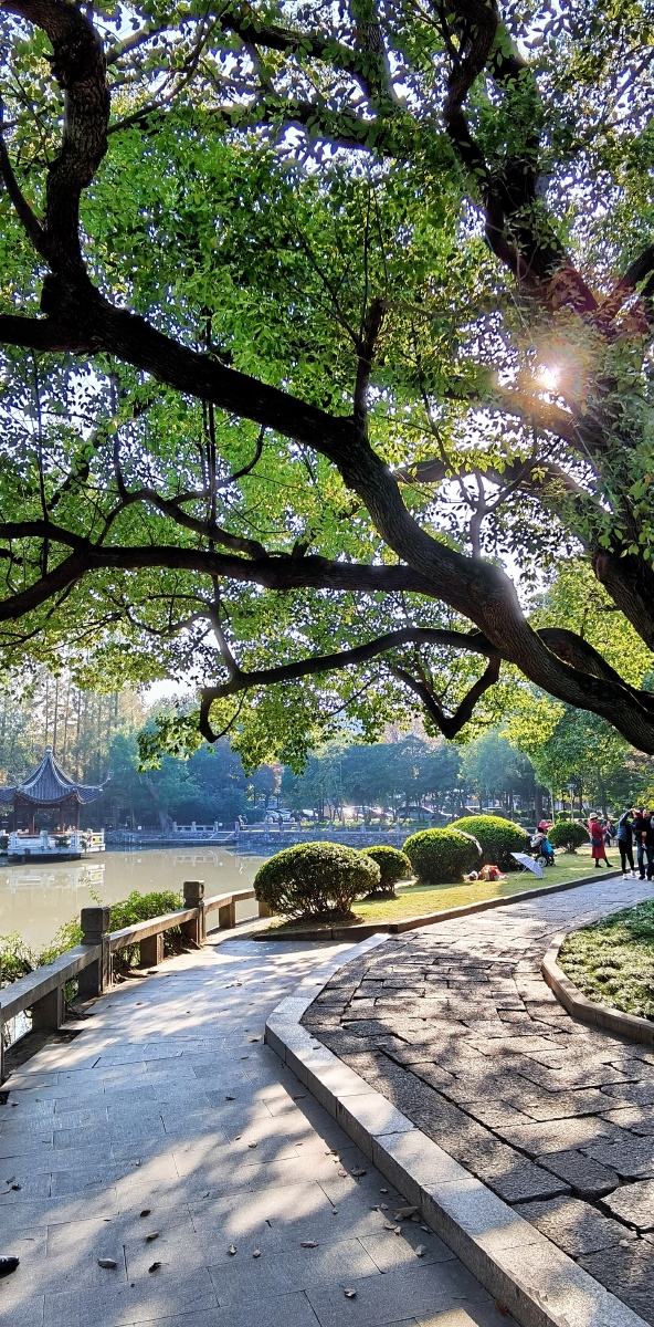 上海汇龙潭公园 - 缘901 - 图虫