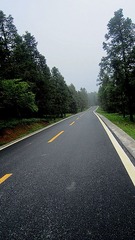 IMG_0481_
