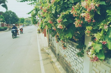 11-49-DSC09738_meitu_41
