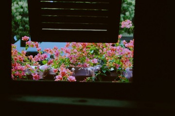 22-27-DSC09569_meitu_19