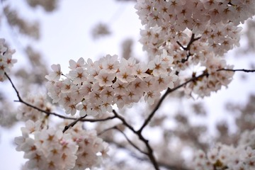C76EBFEA-63D9-490E-BA8E-16176C207031/L0/001