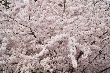 0BA1764A-15D5-45B9-8450-AE0B1F66FFF8/L0/001