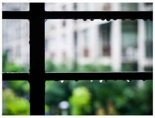 P1130155