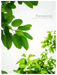 P1120278