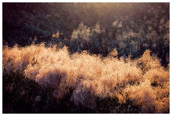 P1180213