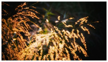 P1180217