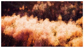 P1180215